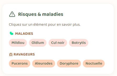 Risques, maladies et ravageurs